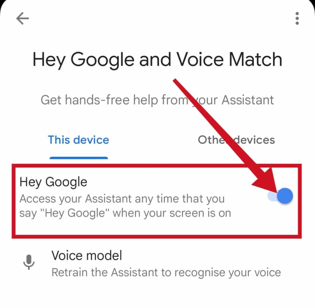 Google voice match